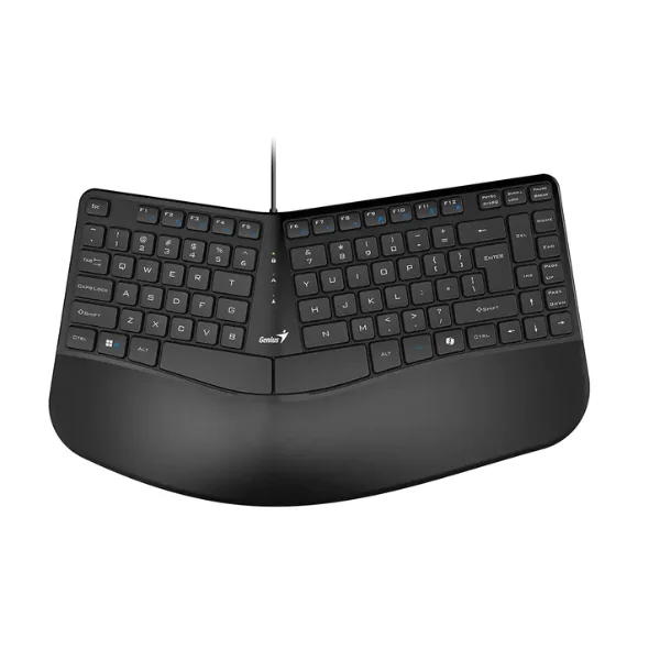 TECLADO GENIUS ERGO KB-700,BLK,SP,USB (1124)