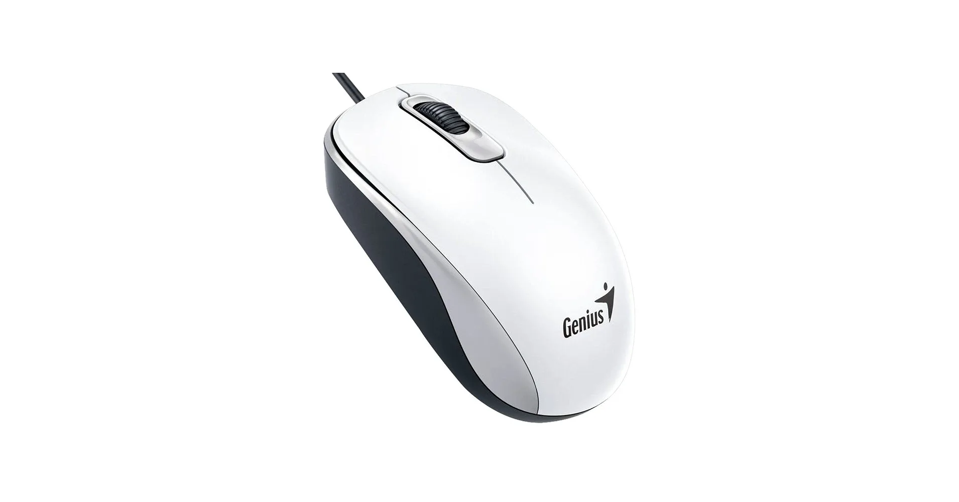 MOUSE GENIUS DX-110 USB WHITE