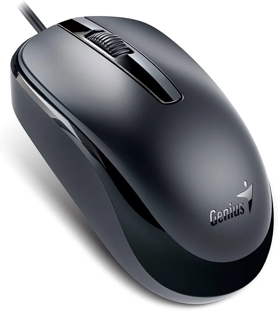 MOUSE GENIUS DX-120 USB BLACK